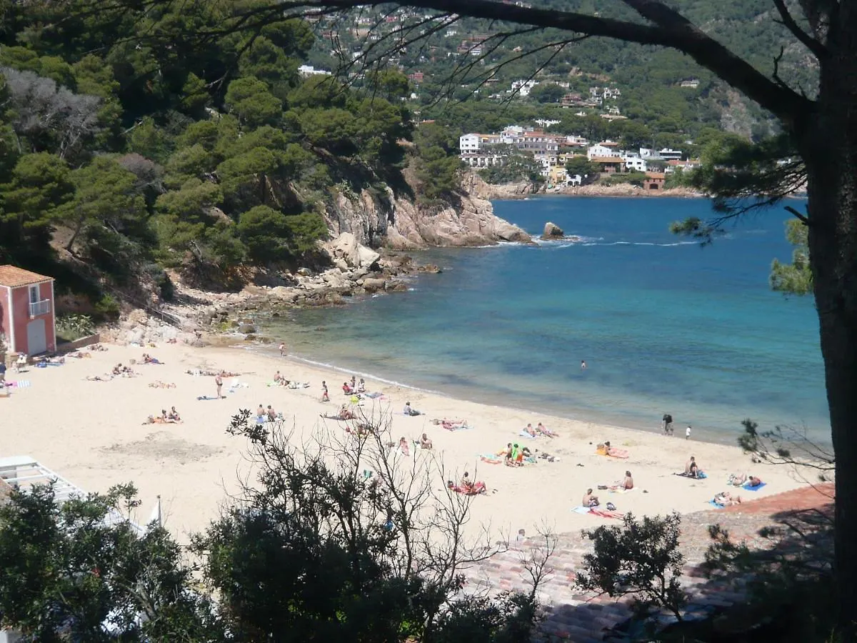 Apartment Bravaholidays-410-Neptuno Blanes